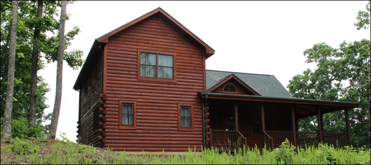 Professional Log Home Borate Application  Caroline County, Virginia